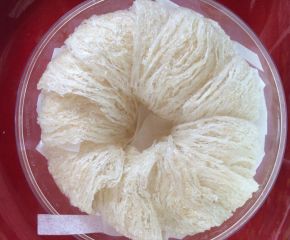 Yến sào tinh chế 100g